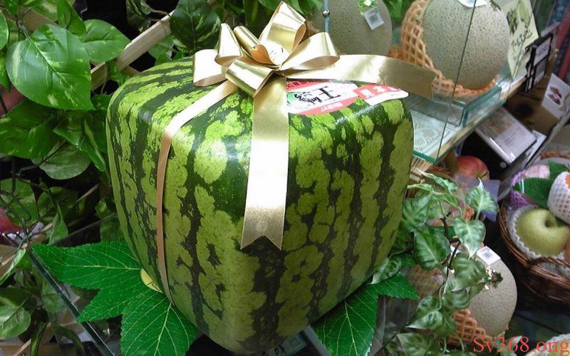 mơ thấy dưa hấu